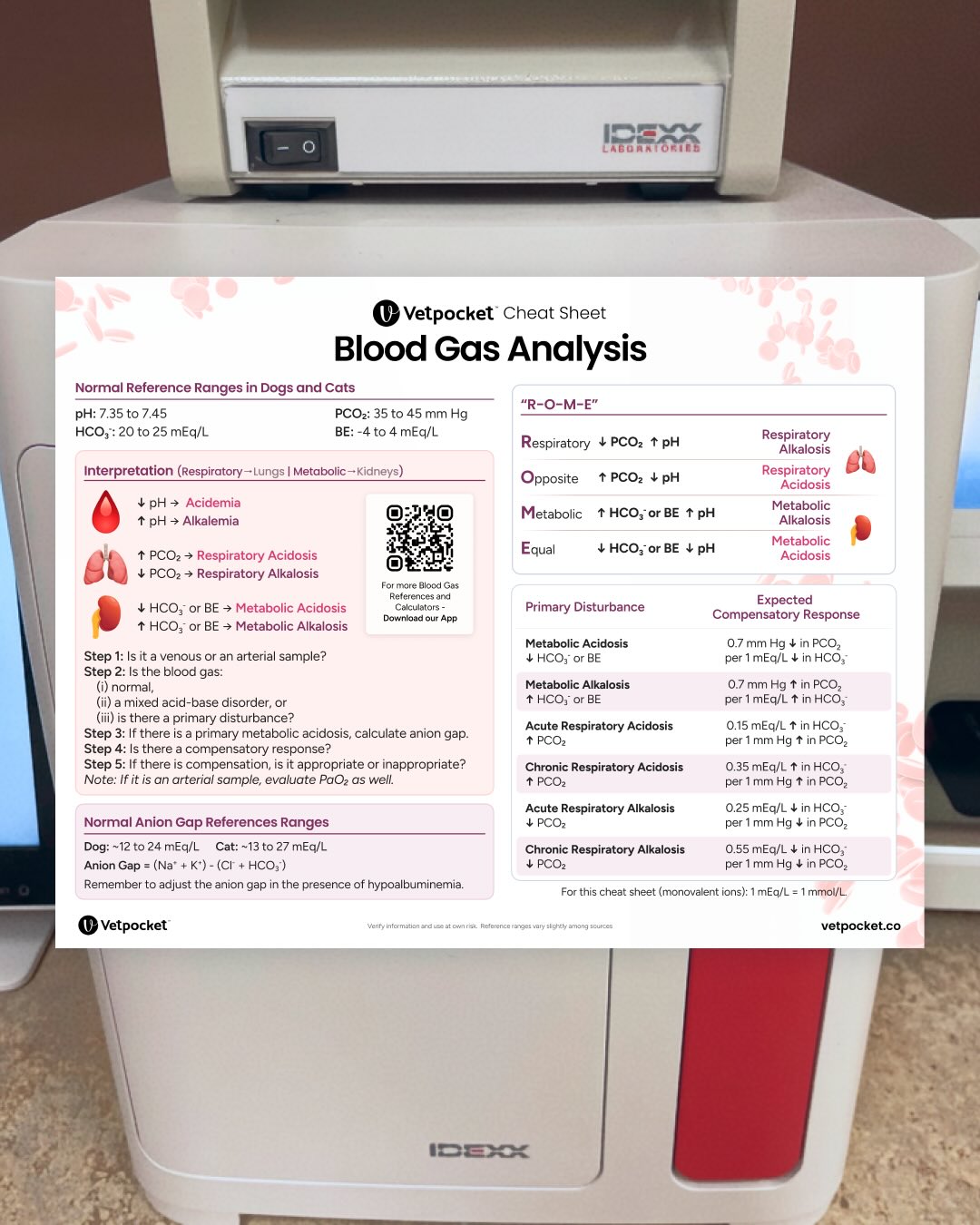 [PDF] Blood Gas Analysis