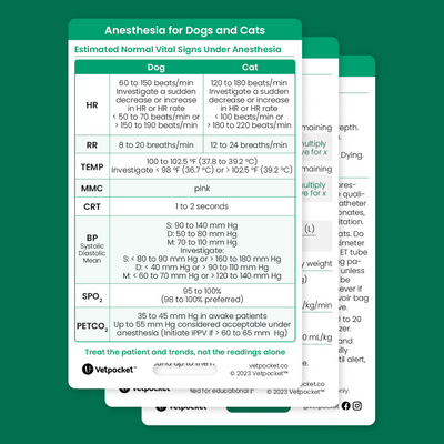 Anesthesia for Dogs and Cats