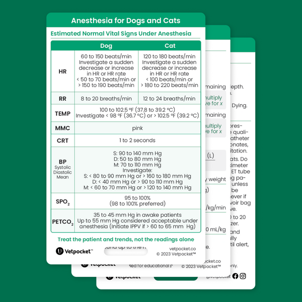 Anesthesia for Dogs and Cats (3 cards)