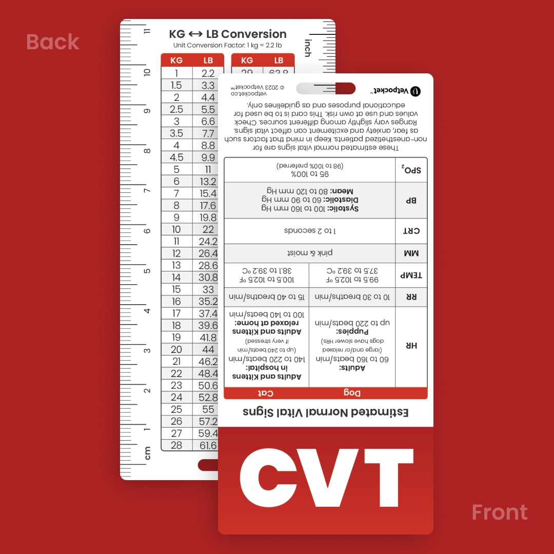 CVT