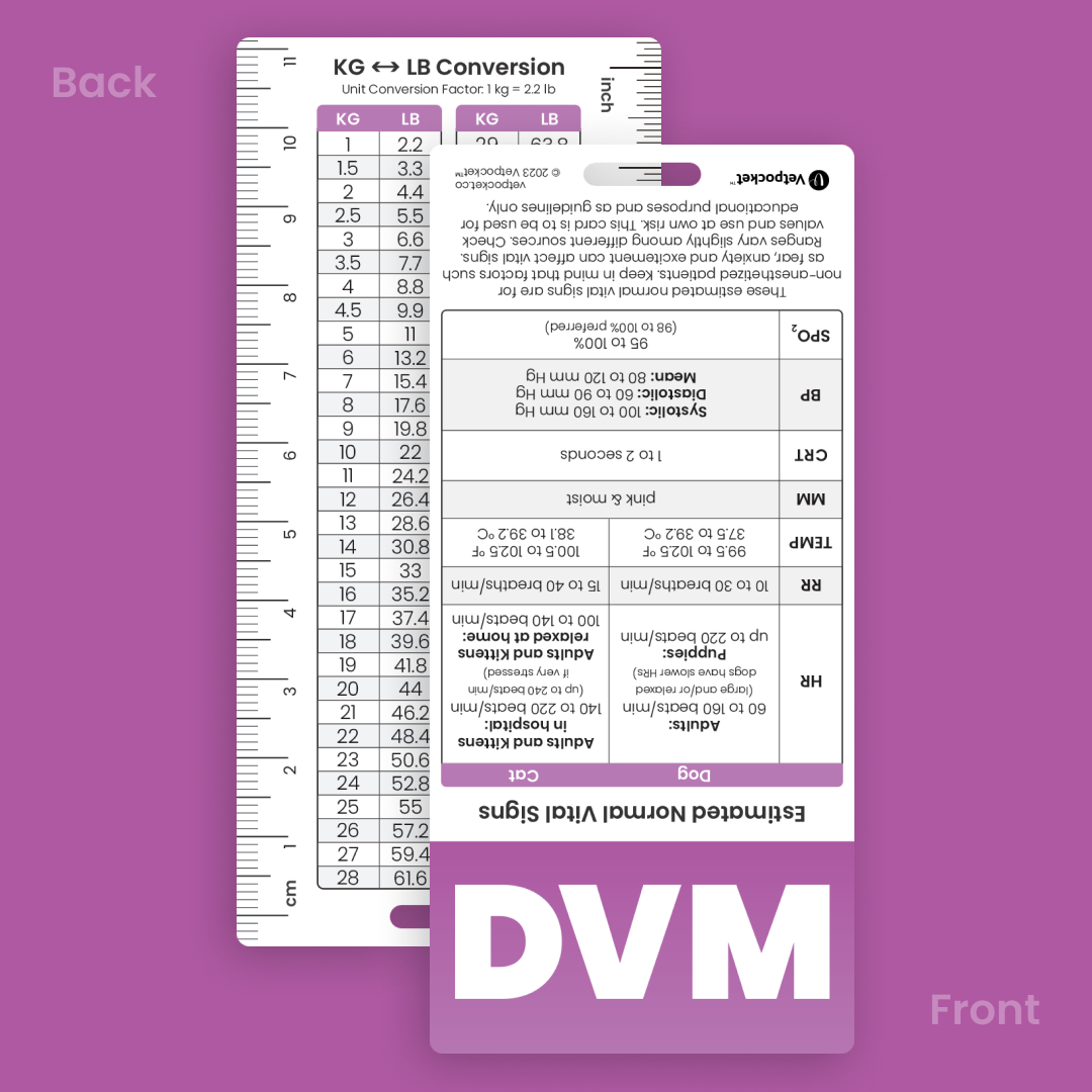 DVM