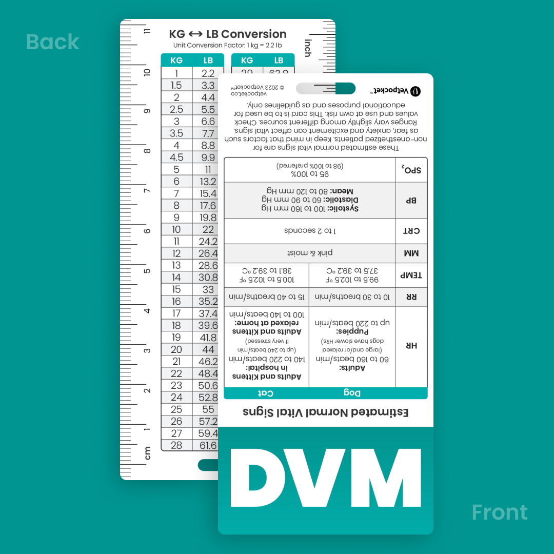 DVM