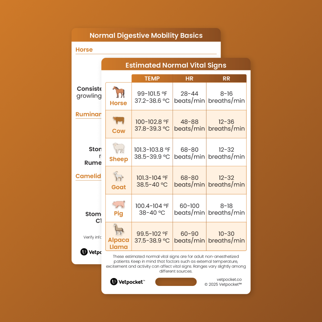 Large Animal Bundle