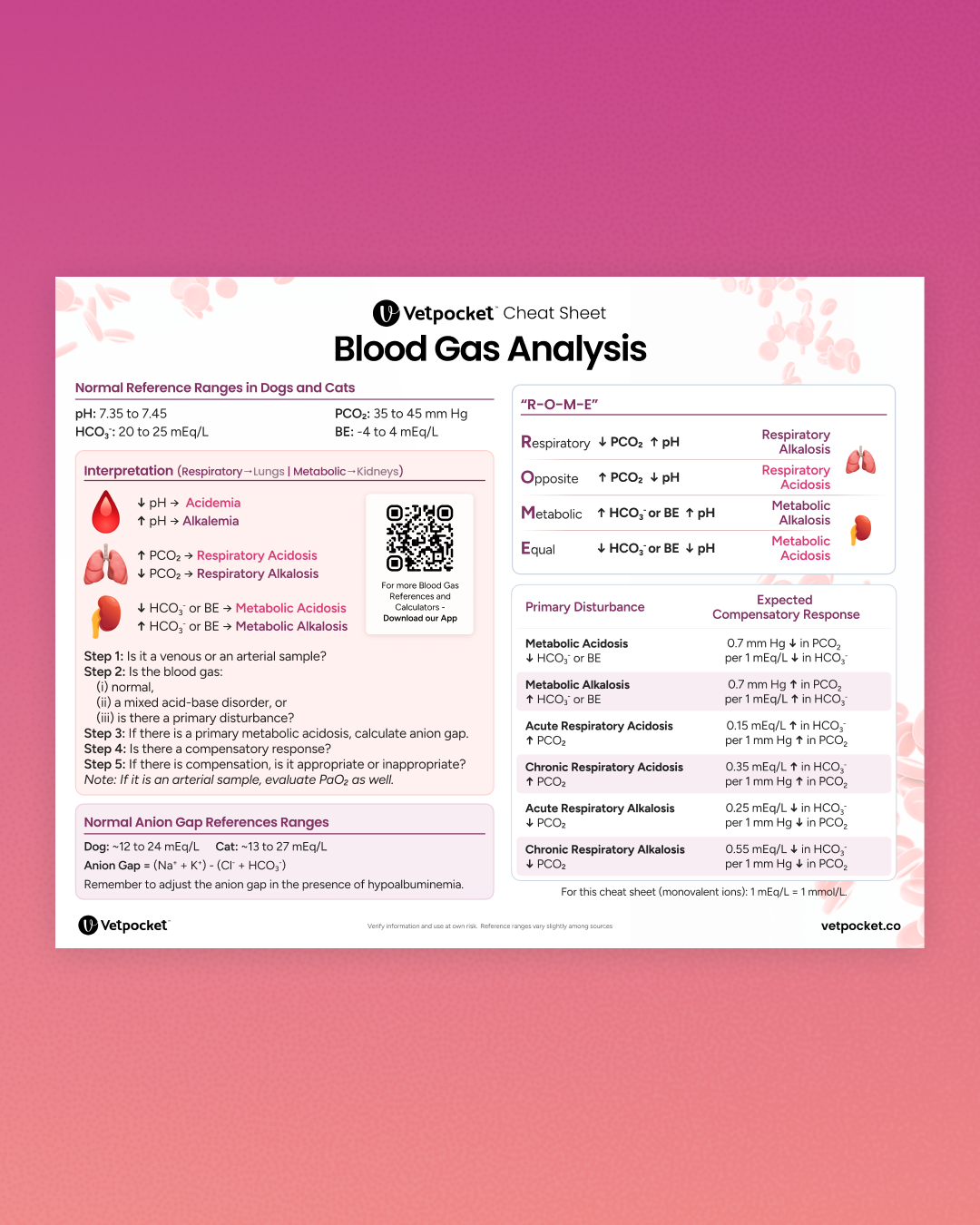 [PDF] Blood Gas Analysis