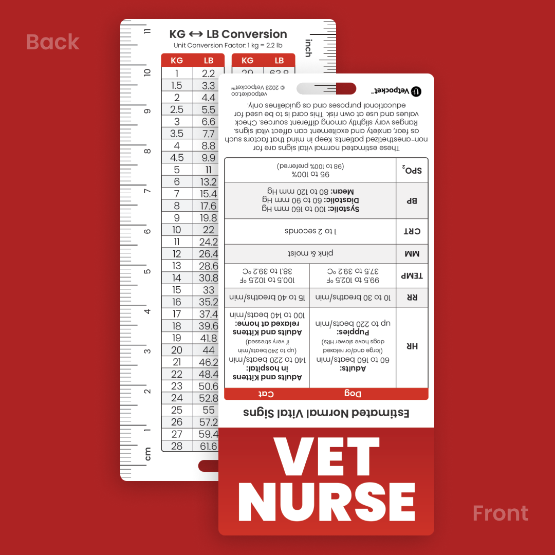 VET NURSE