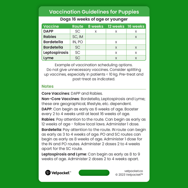 Vaccination Guidelines