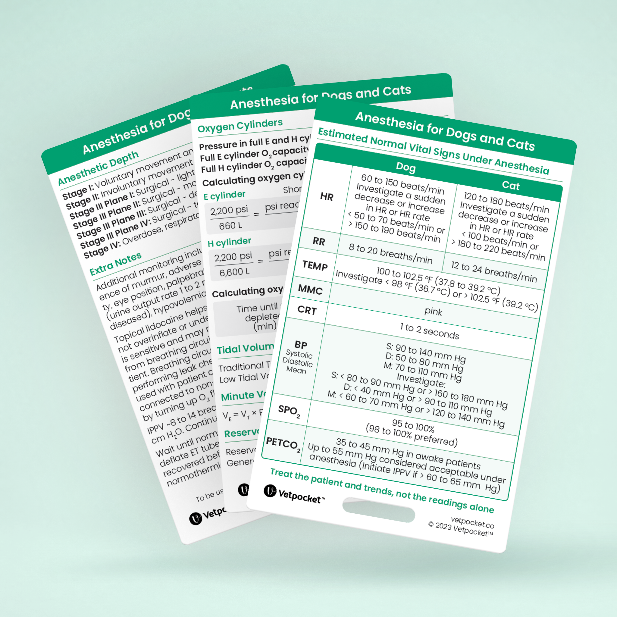 Anesthesia for Dogs and Cats
