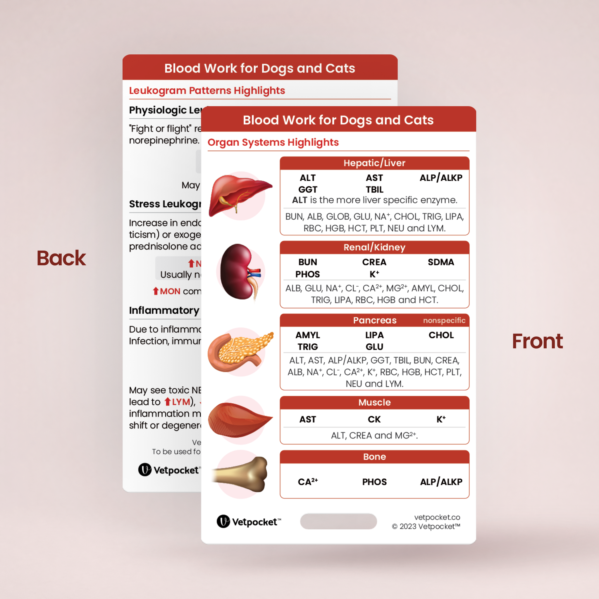 Blood Work for Dogs and Cats