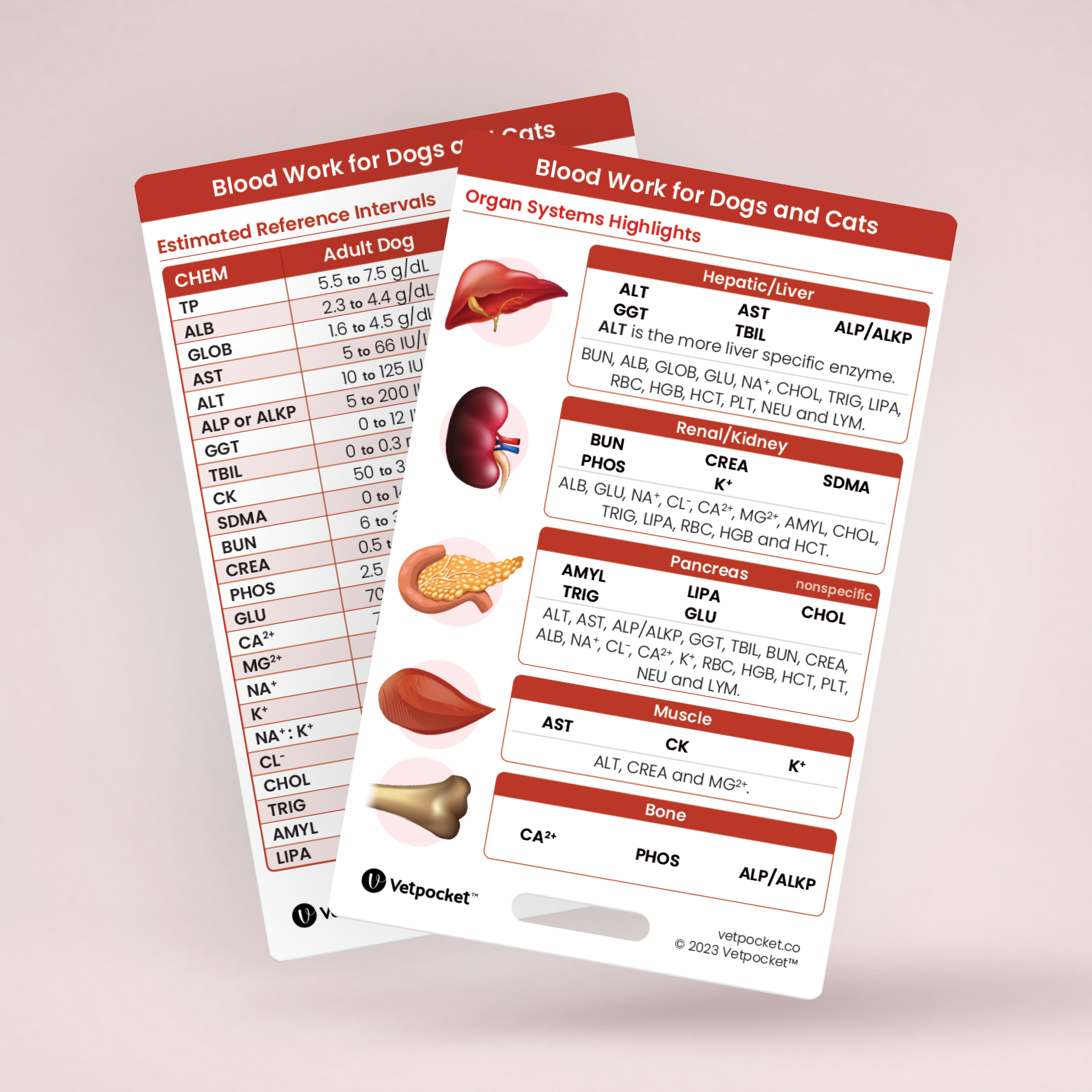 Blood Work for Dogs and Cats