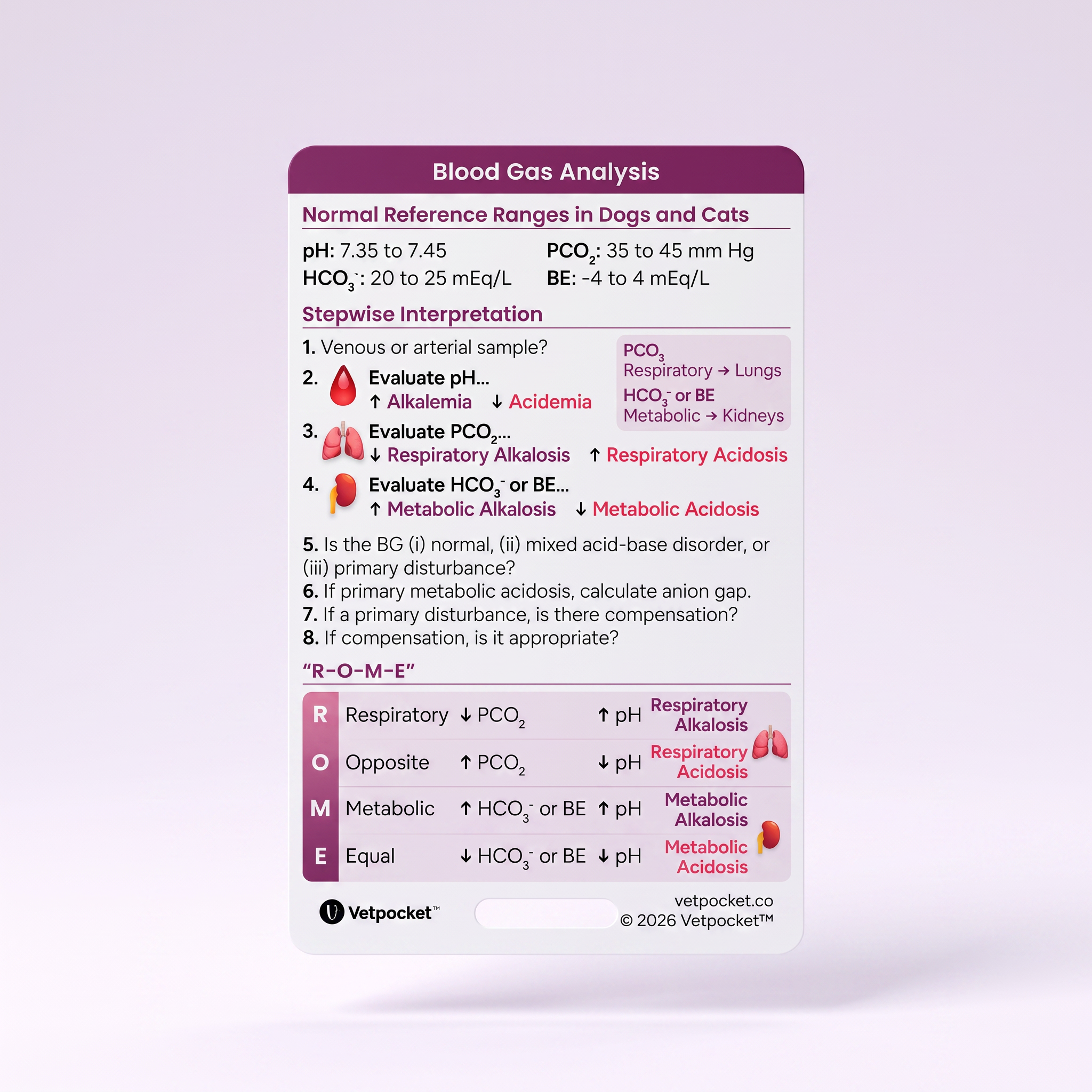 A veterinary reference card titled 'Blood Gas Analysis' with reference ranges and stepwise interpretation for dogs and cats, shown on a light lavender background.