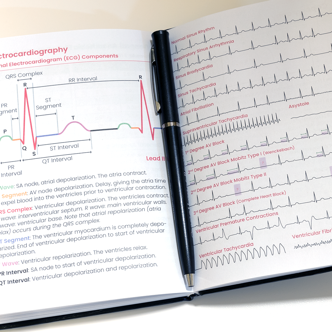 Vet Med Notebook