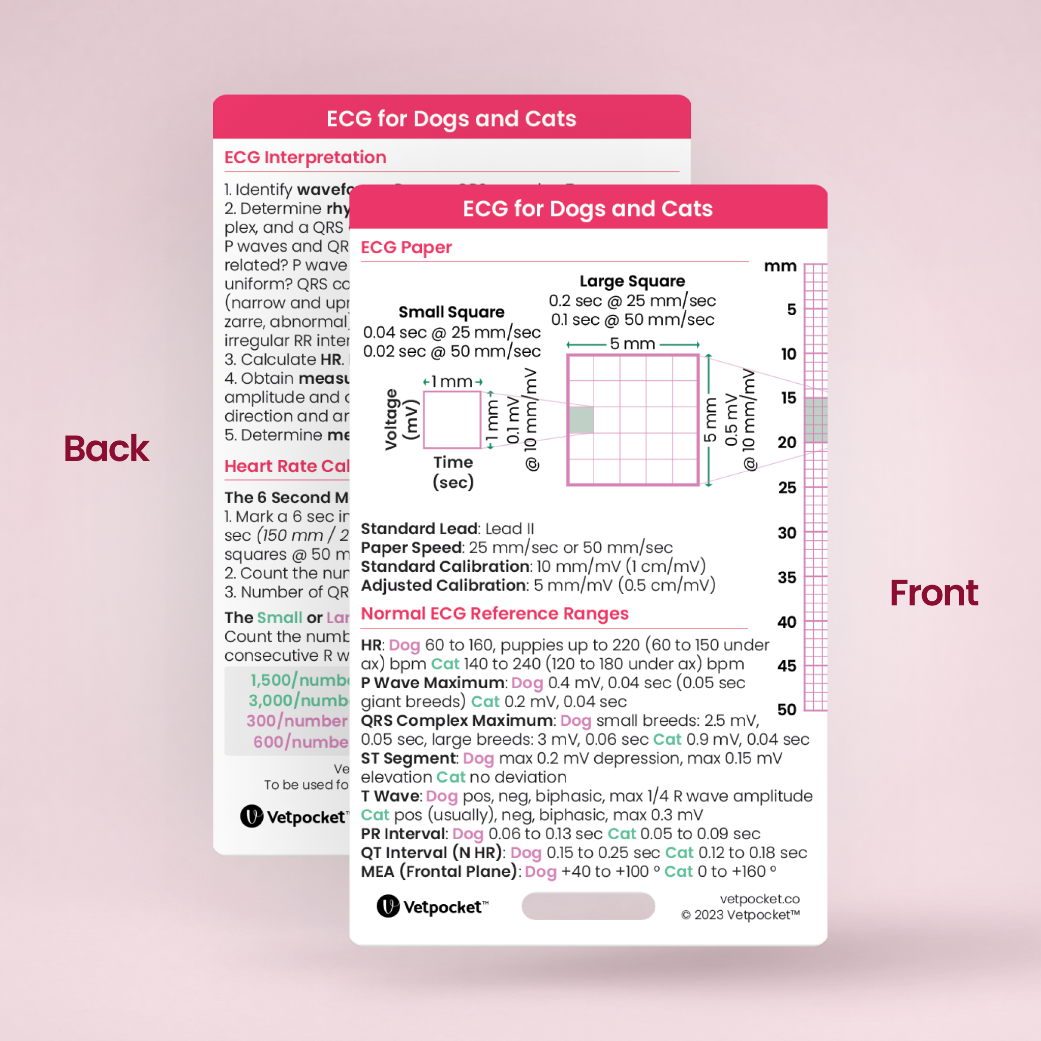 ECG for Dogs and Cats