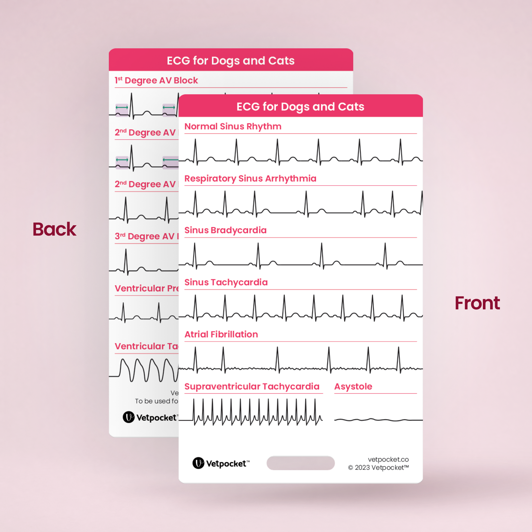 ECG for Dogs and Cats