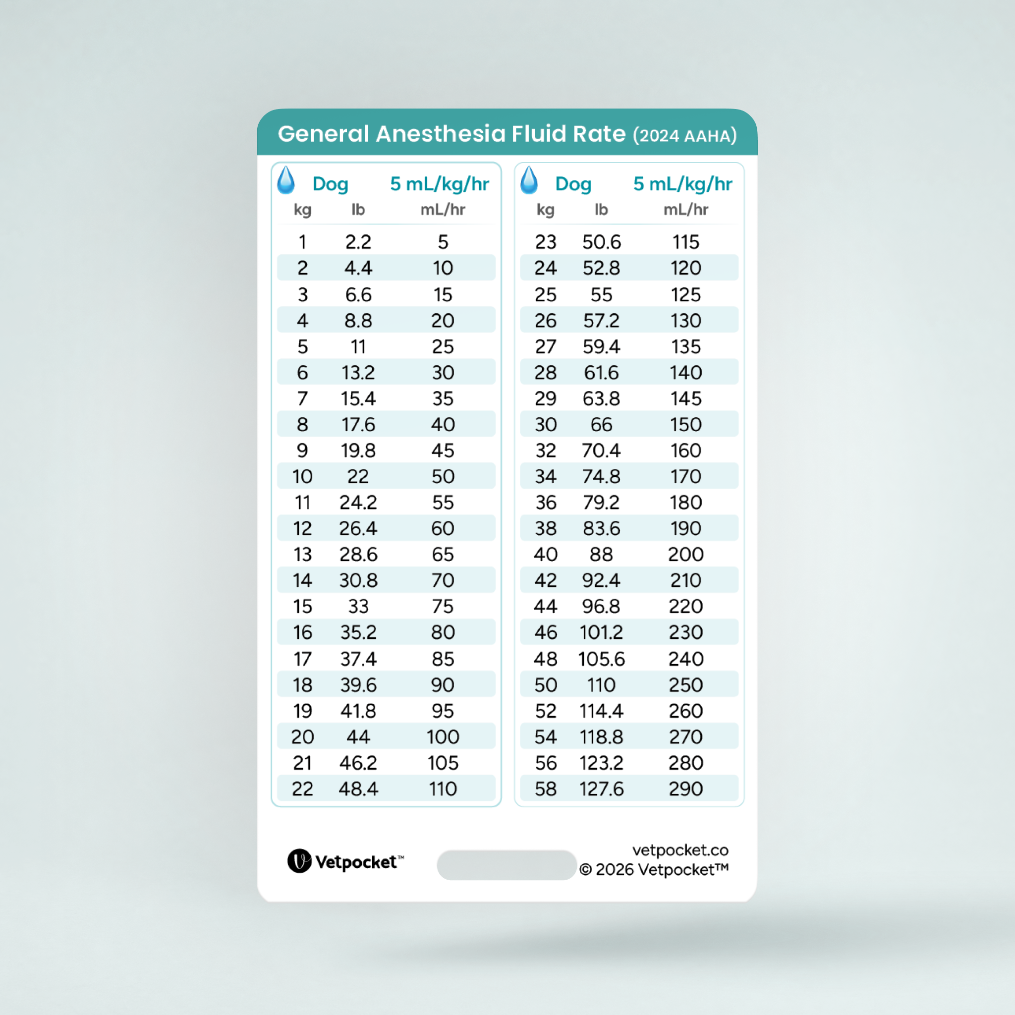 General Anesthesia Fluid Rate (2024 AAHA)