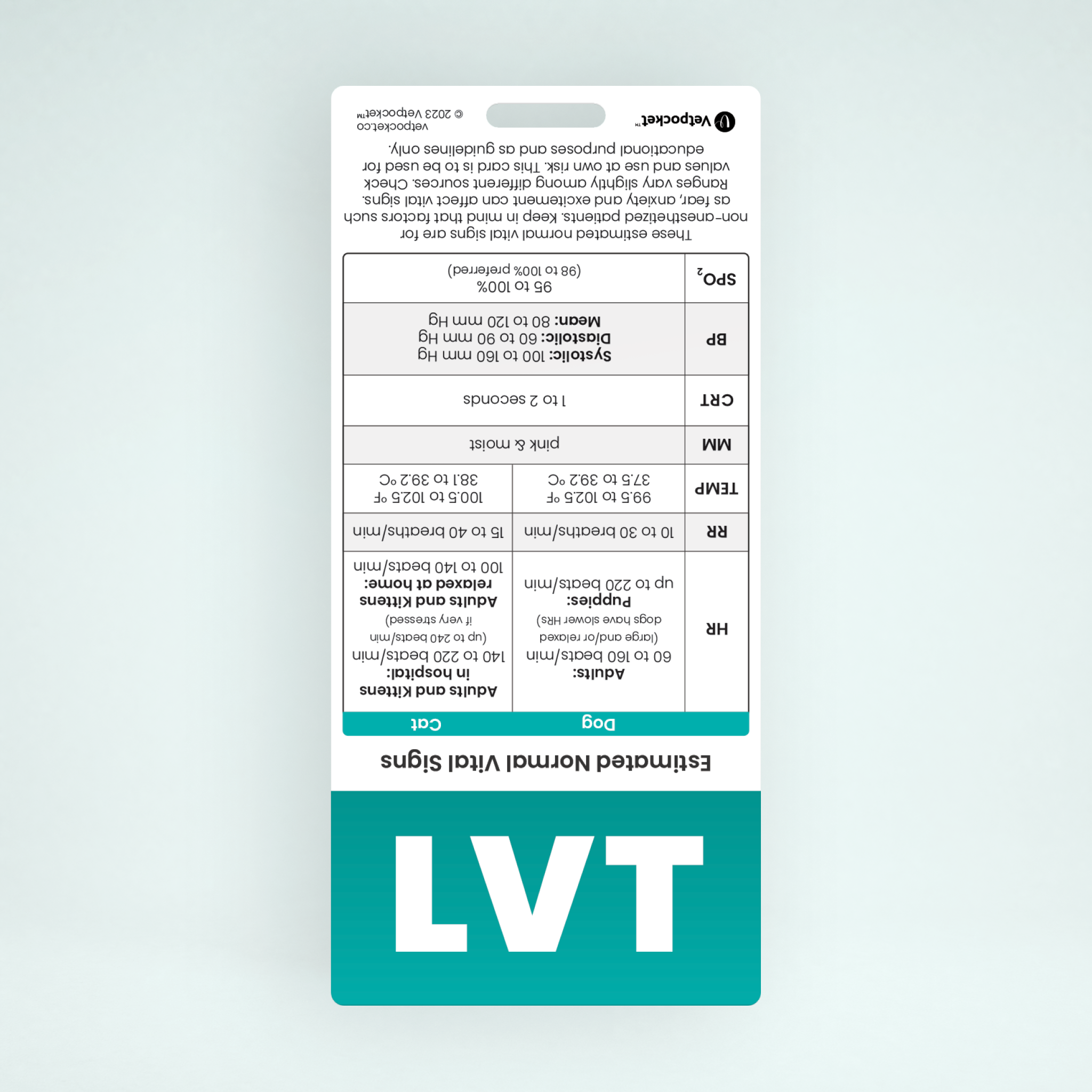 LVT Designation Badge