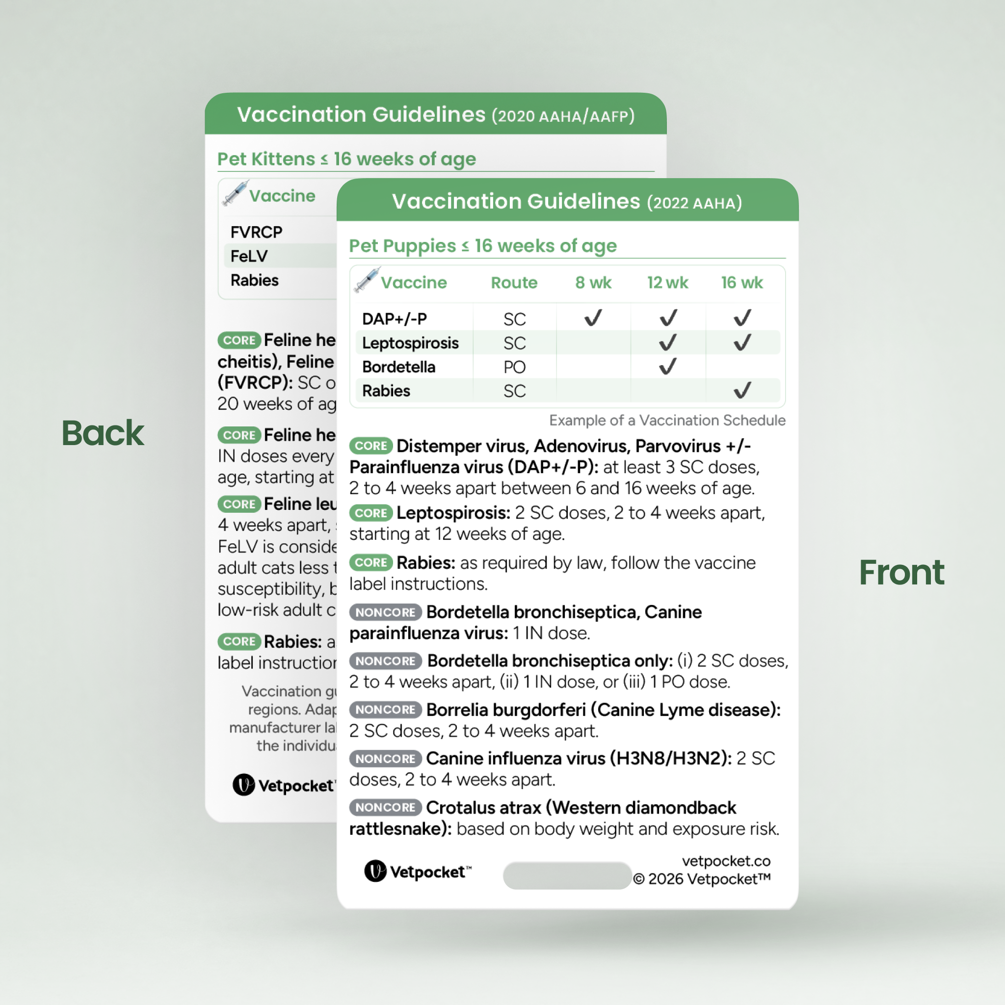 Vaccination Guidelines