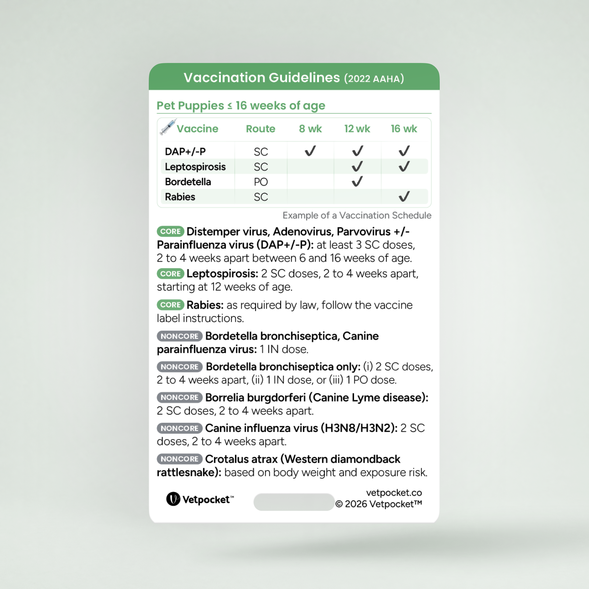 Vaccination Guidelines
