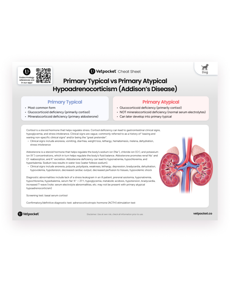 [PDF] Primary Typical vs Primary Atypical Hypoadrenocorticism (Addison’s Disease)