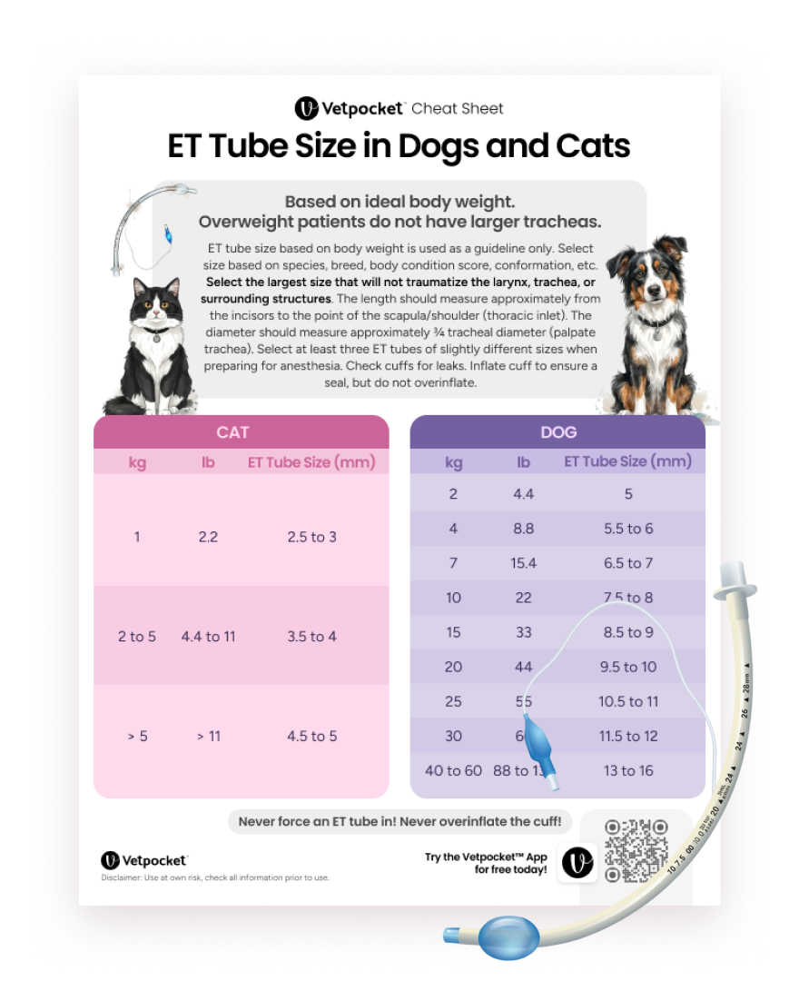 [PDF] ET Tube Size in Dogs and Cats